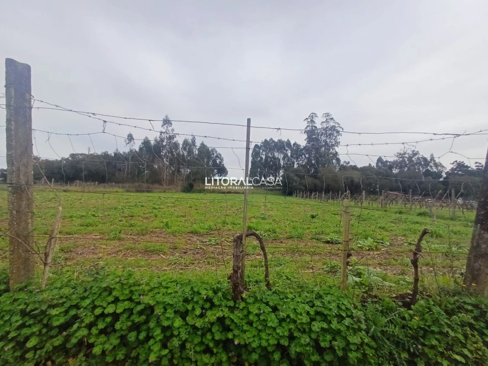 Terreno para Venda em Eixo e Eirol Foto 15