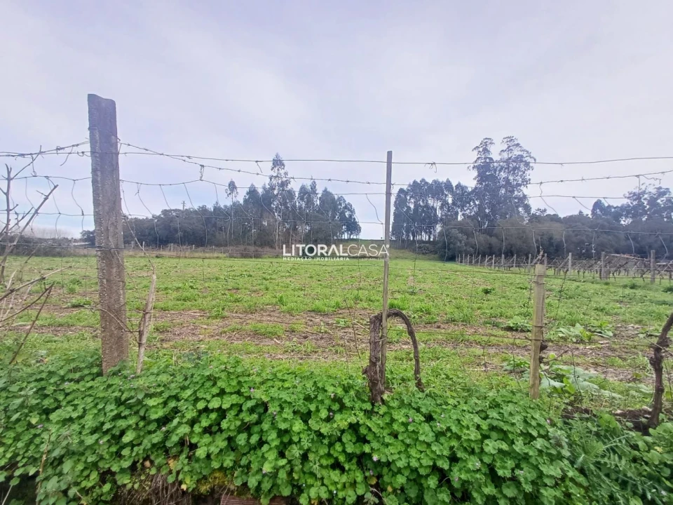 Terreno para Venda em Eixo e Eirol Foto 16
