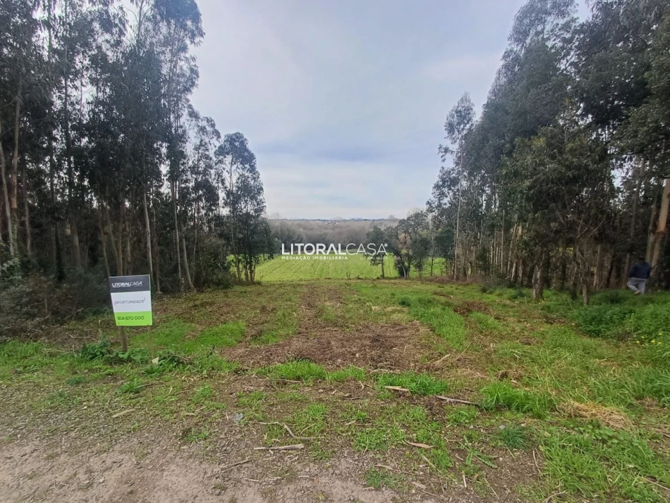 Terreno para Venda em Eixo e Eirol Foto 6