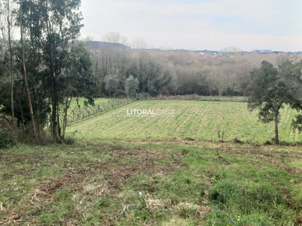 Terreno para Venda em Eixo e Eirol Foto 1
