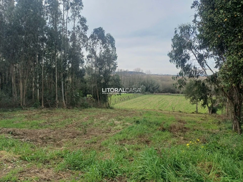 Terreno para Venda em Eixo e Eirol Foto 5