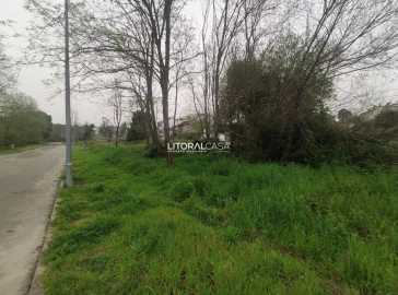 Terreno para Venda em Águeda e Borralha