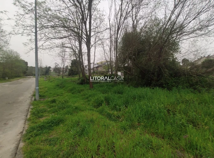 Terreno para Venda em Águeda e Borralha Foto 3