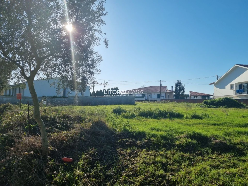 Terreno para Venda em Requeixo, Nossa Senhora de Fátima e Nariz Foto 9