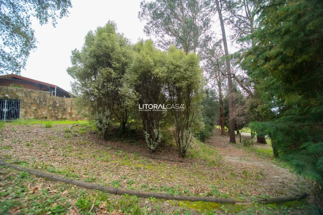 Quinta T4 para Venda em O. Azeméis, Riba-Ul, Ul, Macinhata Seixa, Madail Foto 31