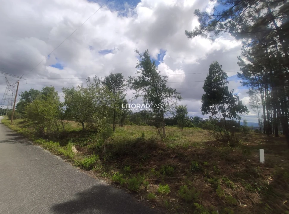 Terreno para Venda em Águeda e Borralha Foto 5