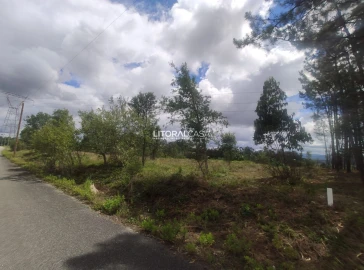 Terreno para Venda em Águeda e Borralha