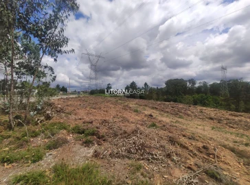 Terreno para Venda em Águeda e Borralha