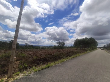 Terreno para Venda em Águeda e Borralha
