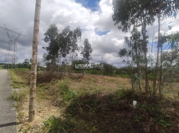 Terreno para Venda em Águeda e Borralha