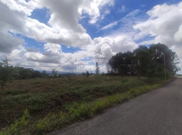 Terreno para Venda em Águeda e Borralha