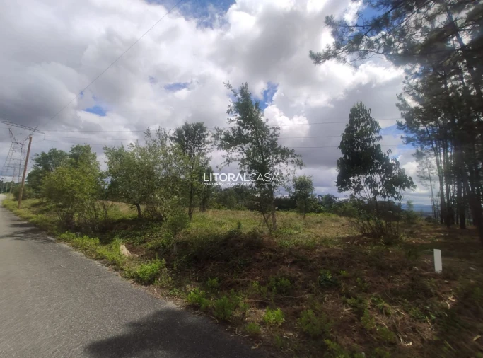 Terreno para Venda em Águeda e Borralha Foto 5