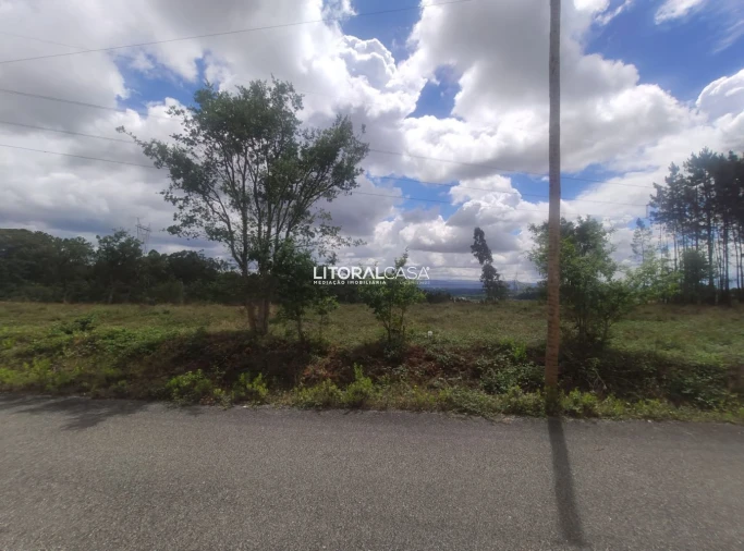 Terreno para Venda em Águeda e Borralha Foto 6