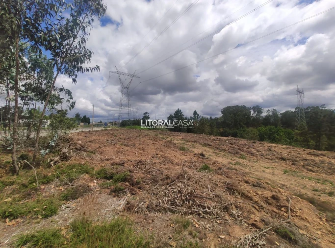 Terreno para Venda em Águeda e Borralha Foto 10
