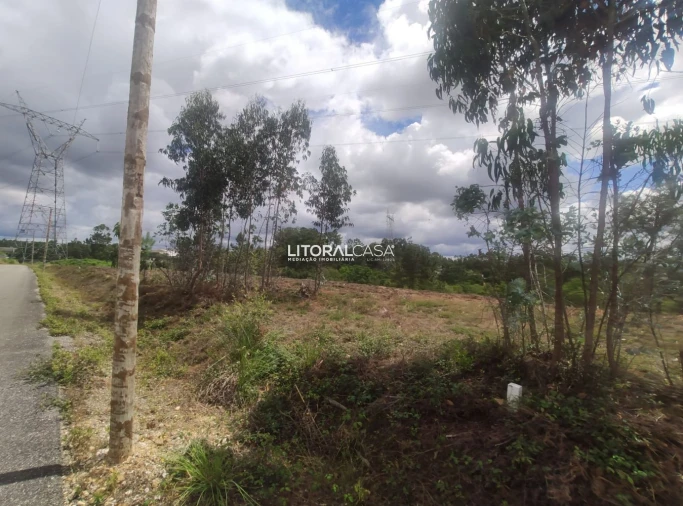 Terreno para Venda em Águeda e Borralha Foto 3