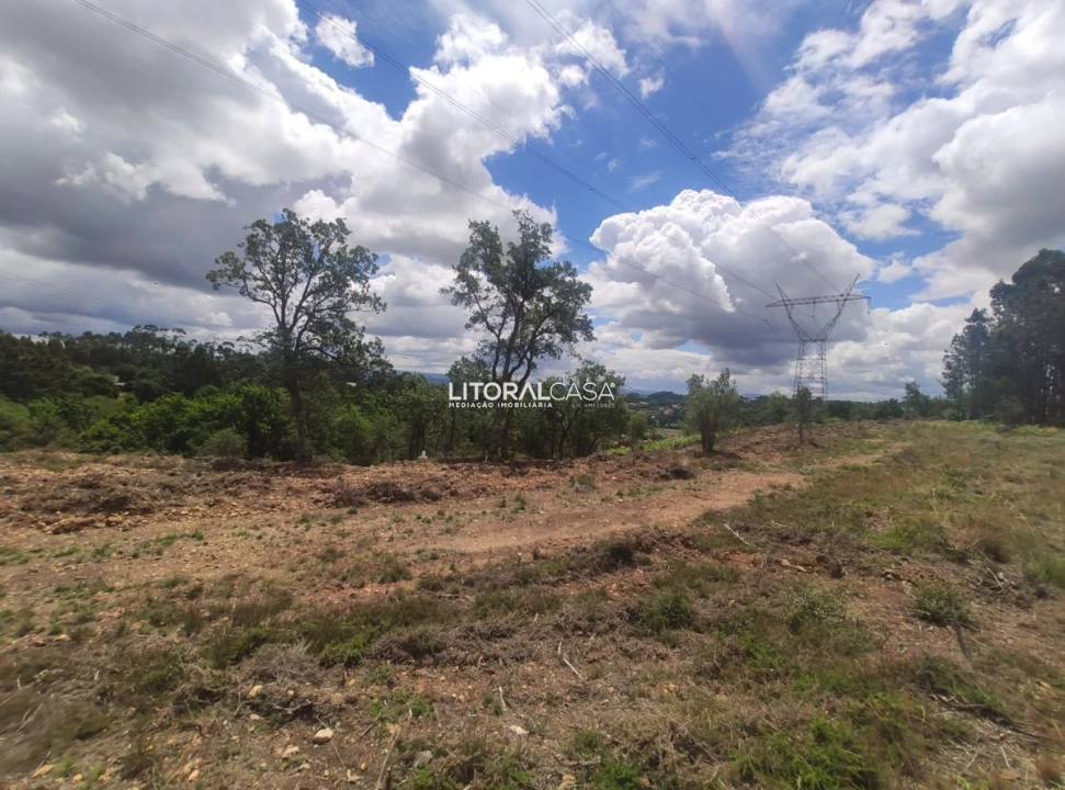 Terreno para Venda em Águeda e Borralha Foto 9