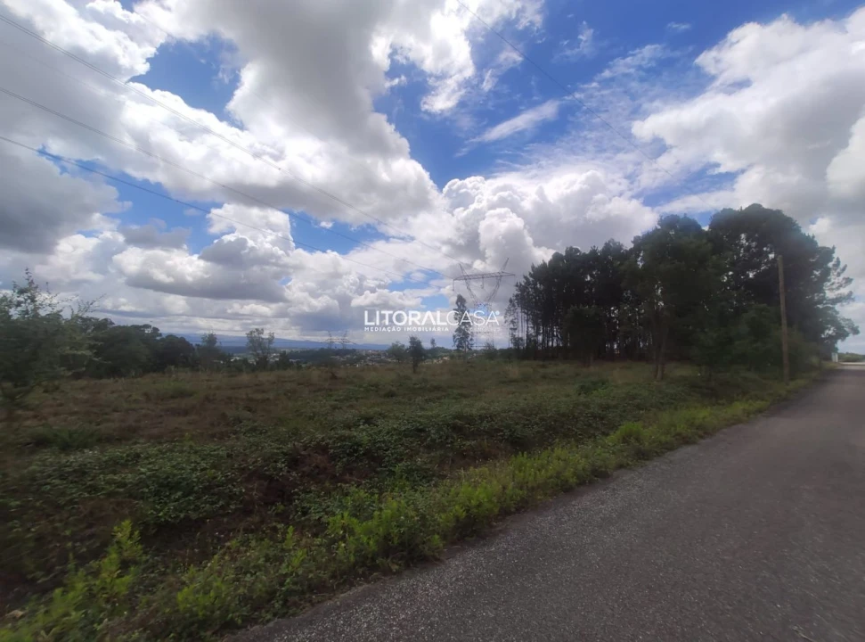 Terreno para Venda em Águeda e Borralha Foto 7