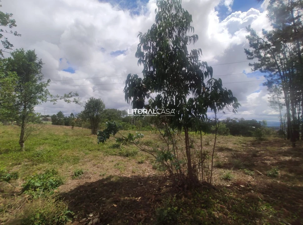 Terreno para Venda em Águeda e Borralha Foto 4