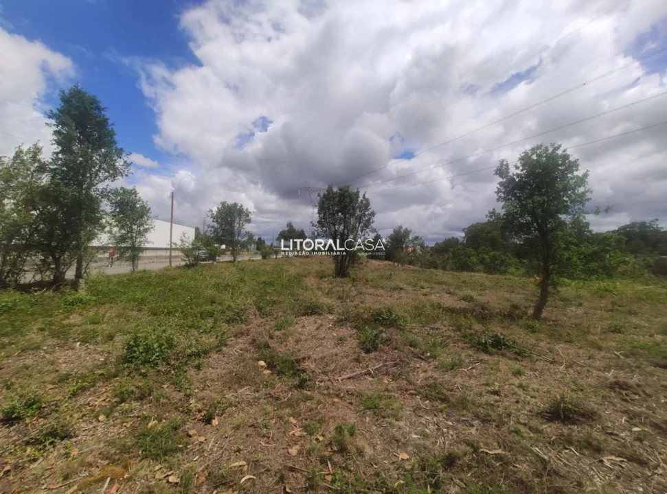 Terreno para Venda em Águeda e Borralha Foto 1
