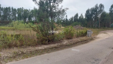 Terreno para Venda em Requeixo, Nossa Senhora de Fátima e Nariz