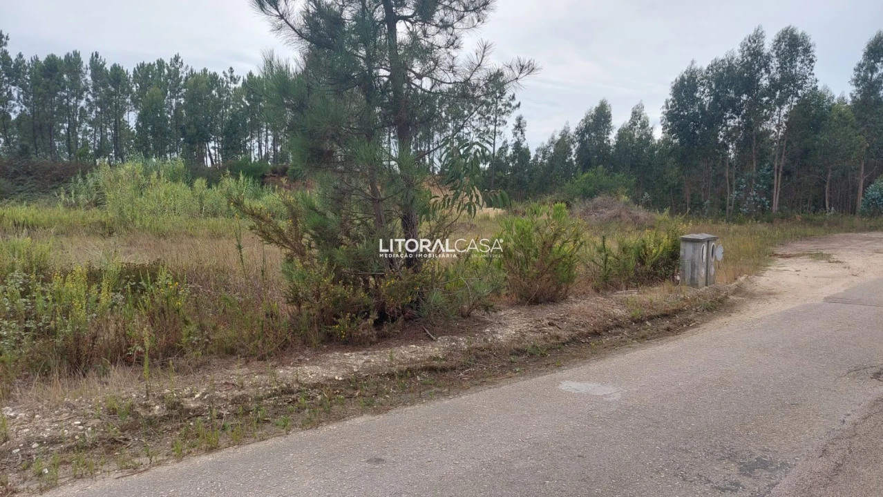 Terreno para Venda em Requeixo, Nossa Senhora de Fátima e Nariz Foto 2