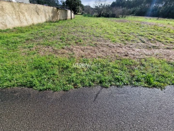 Terreno para Venda em Oliveira do Bairro