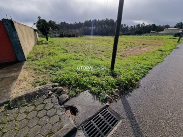 Terreno para Venda em Oliveira do Bairro