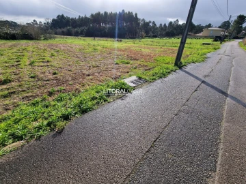 Terreno para Venda em Oliveira do Bairro