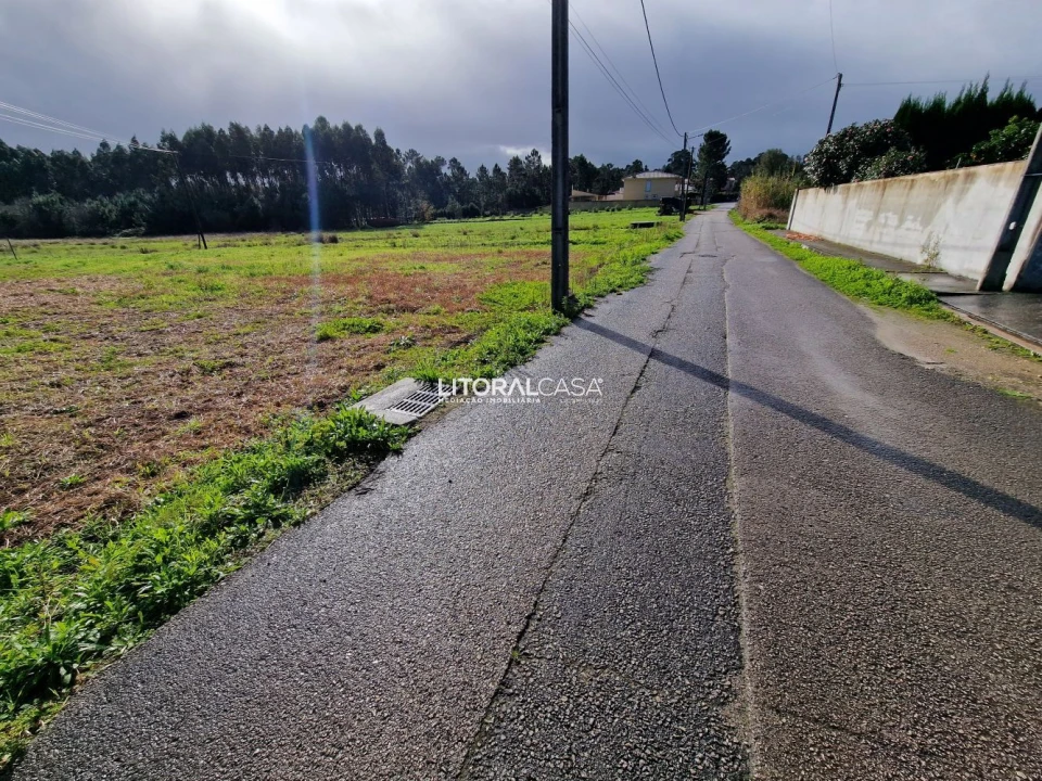 Terreno para Venda em Oliveira do Bairro Foto 10