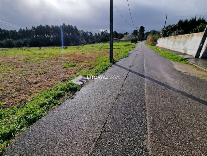 Terreno para Venda em Oliveira do Bairro Foto 10