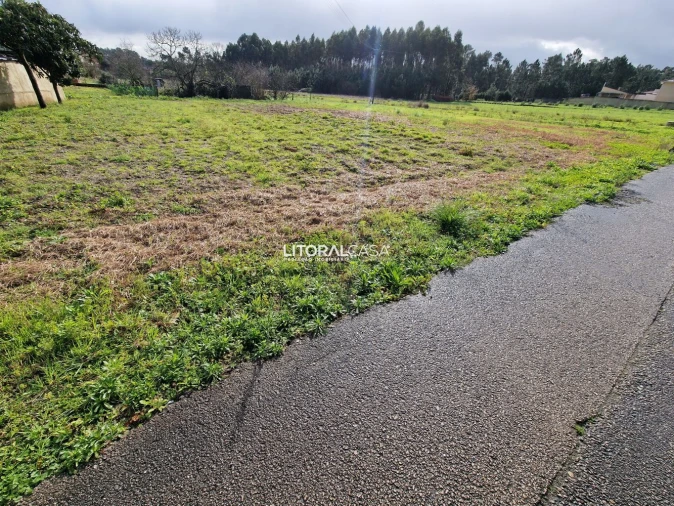 Terreno para Venda em Oliveira do Bairro Foto 6