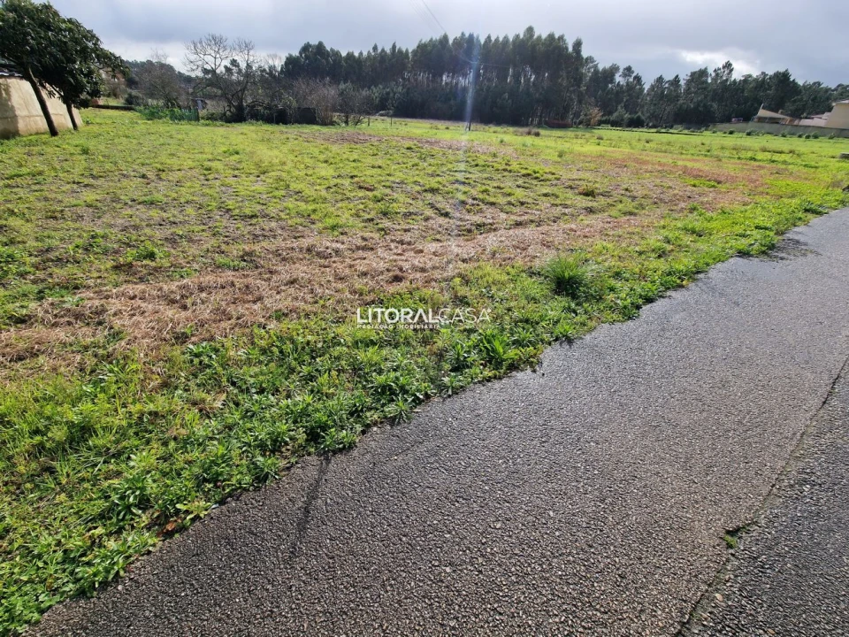Terreno para Venda em Oliveira do Bairro Foto 6