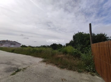 Terreno para Venda em Cantanhede e Pocariça