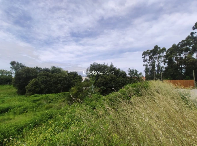 Terreno para Venda em Cantanhede e Pocariça Foto 4