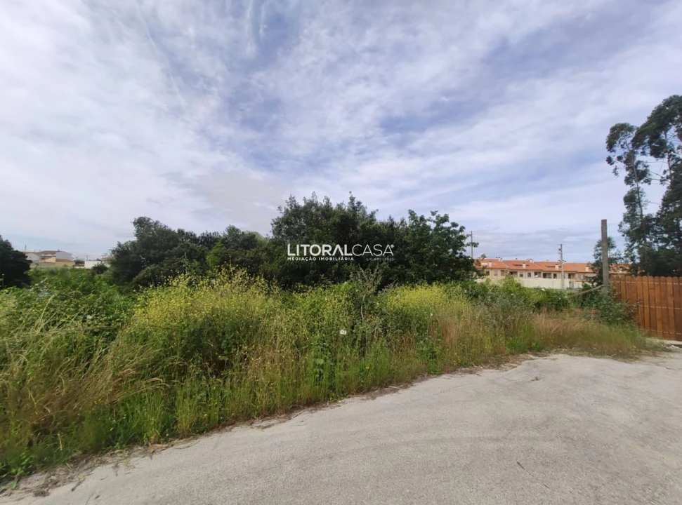 Terreno para Venda em Cantanhede e Pocariça Foto 2