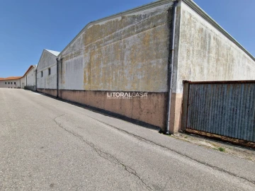 Loja para Venda em Sangalhos