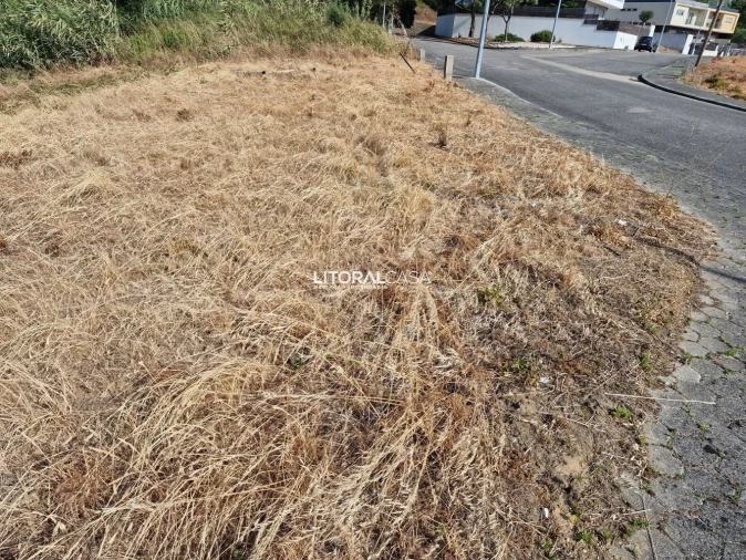 Terreno para Venda em Requeixo, Nossa Senhora de Fátima e Nariz Foto 9