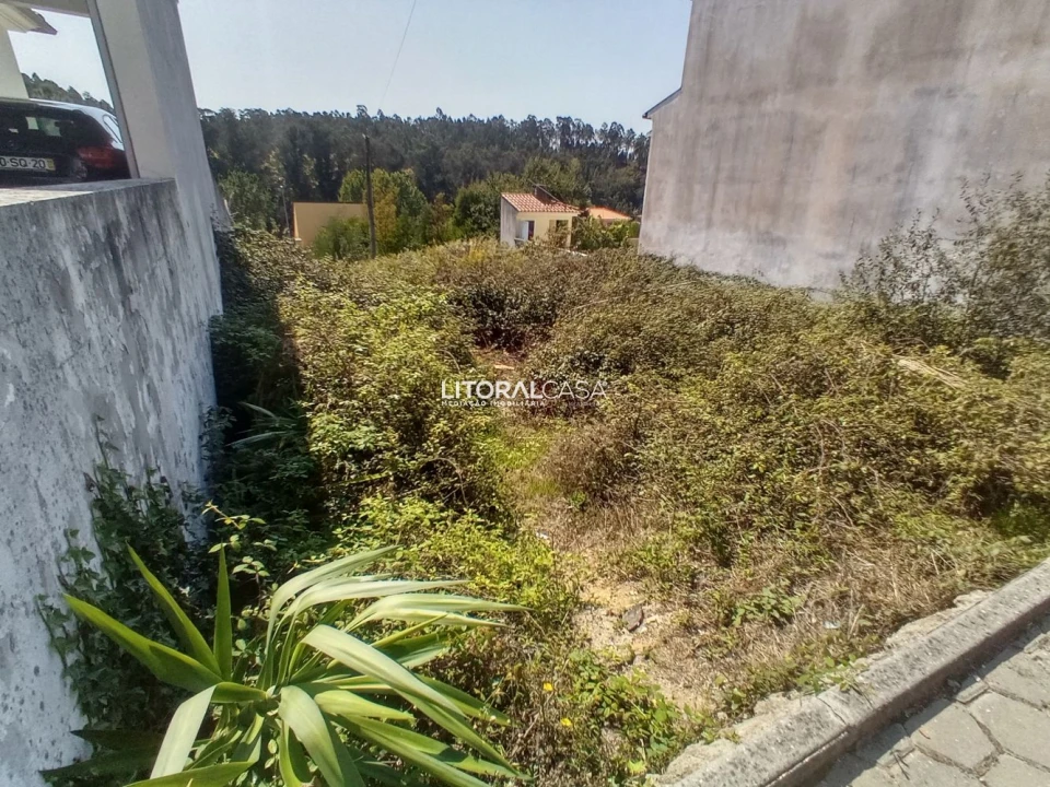 Terreno para Venda em Águeda e Borralha Foto 7