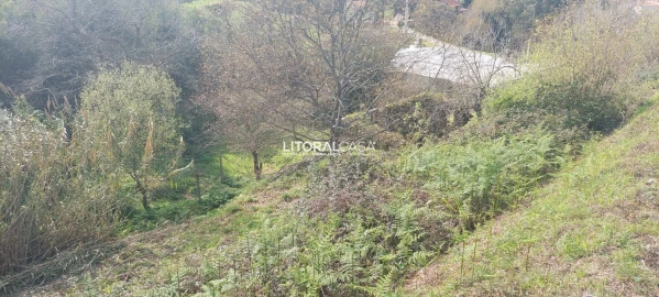 Terreno para Venda em Cedrim e Paradela