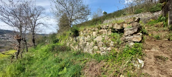 Terreno para Venda em Cedrim e Paradela