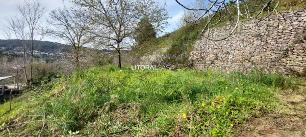 Terreno para Venda em Cedrim e Paradela