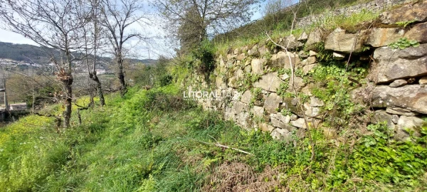Terreno para Venda em Cedrim e Paradela