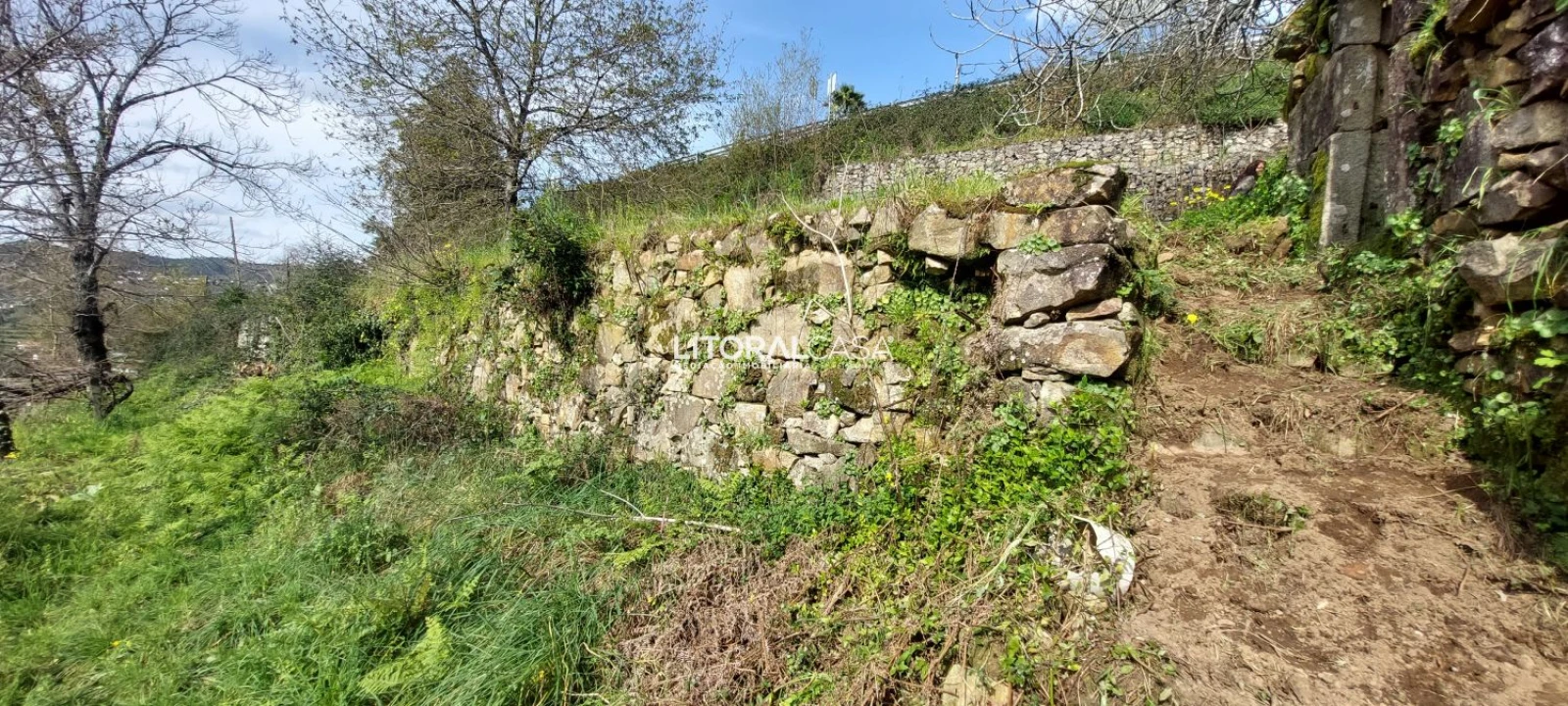 Terreno para Venda em Cedrim e Paradela Foto 10