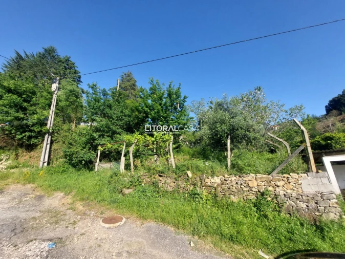 Terreno para Venda em Cedrim e Paradela Foto 20