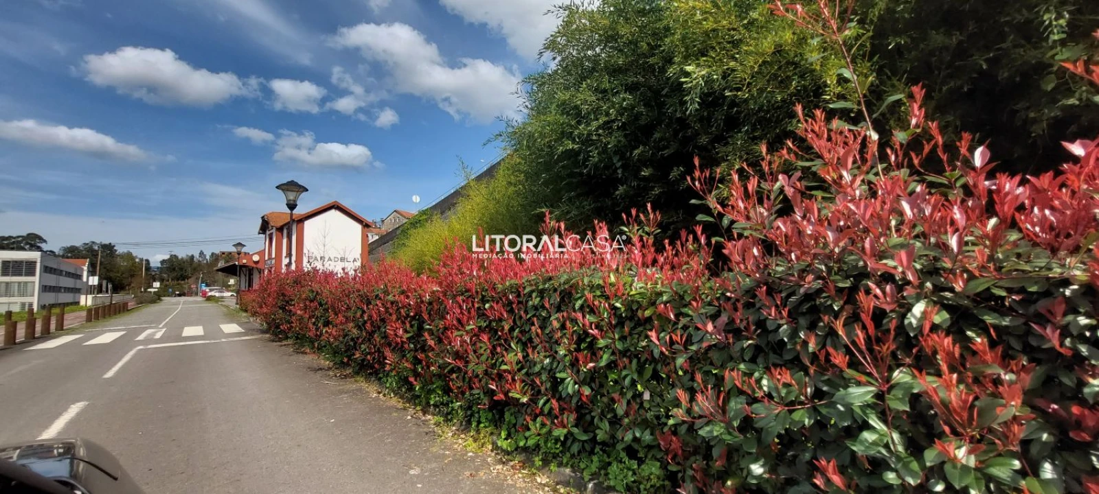Terreno para Venda em Cedrim e Paradela Foto 2