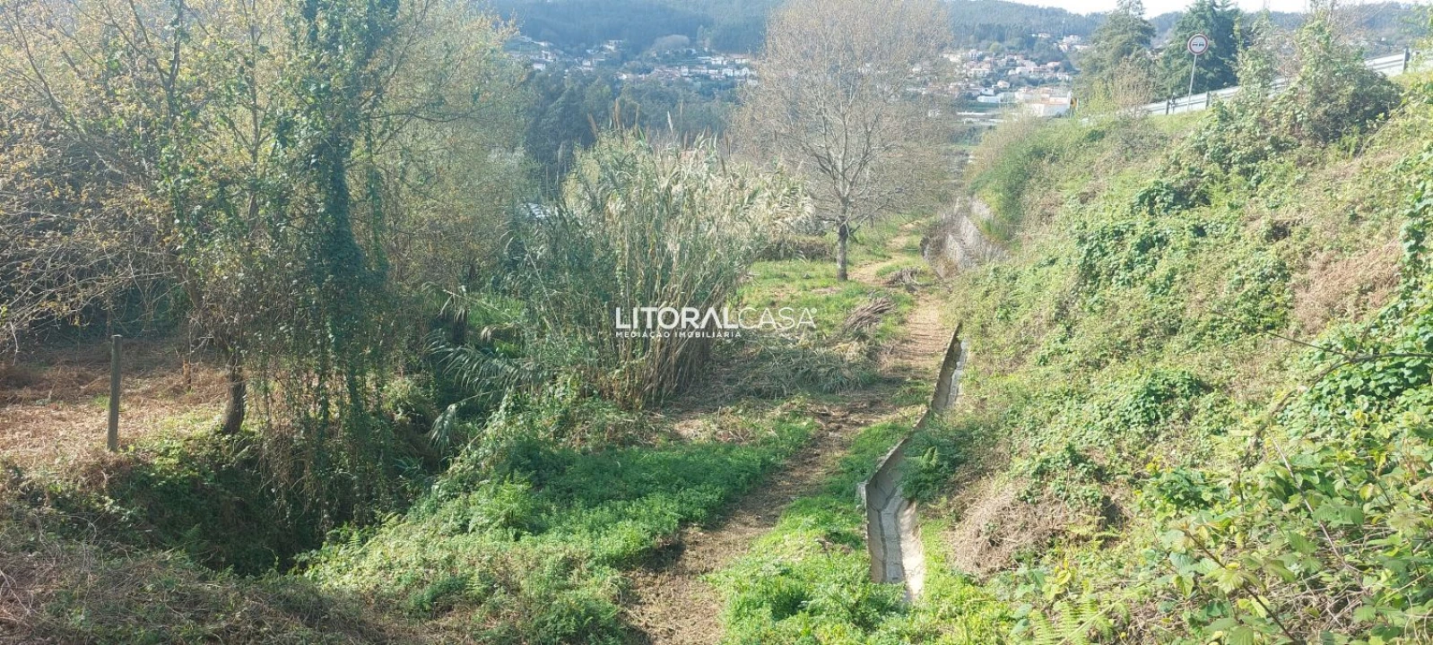Terreno para Venda em Cedrim e Paradela Foto 16