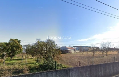 Terreno para Venda em Oliveira do Bairro