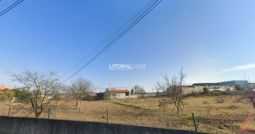Terreno para Venda em Oliveira do Bairro