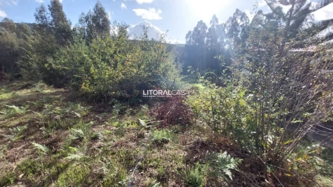 Terreno para Venda em Cedrim e Paradela