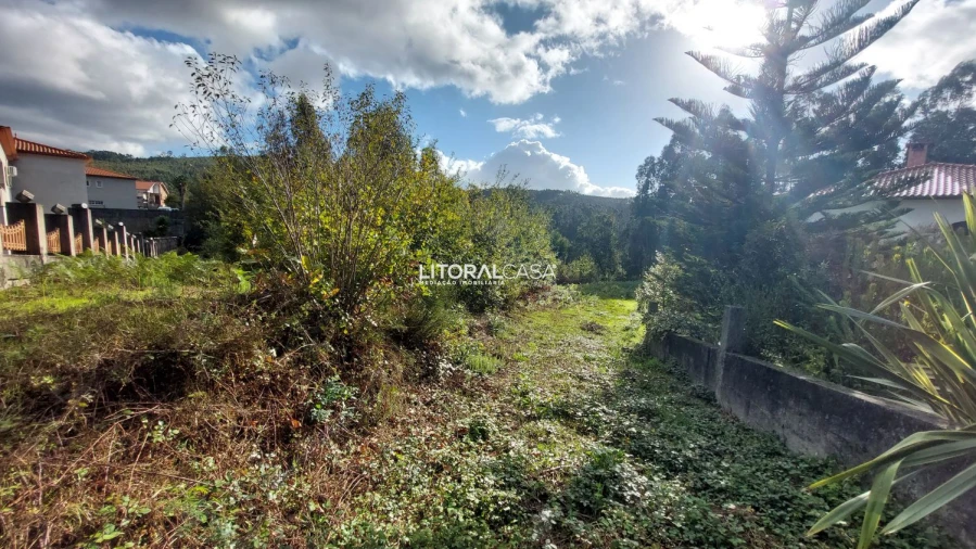 Terreno para Venda em Cedrim e Paradela Foto 6
